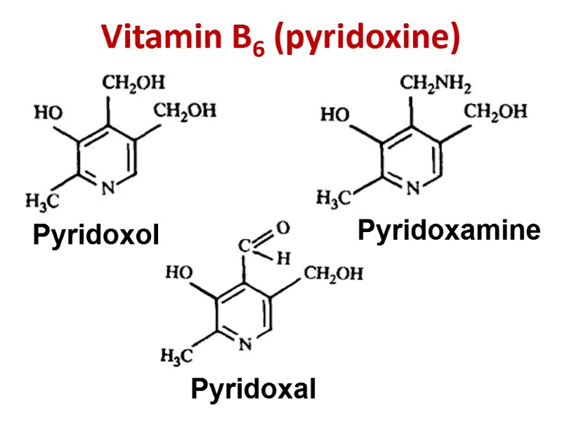 Vitamin B6 (pyridoxine) Pyridoxol Pyridoxamine Pyridoxal